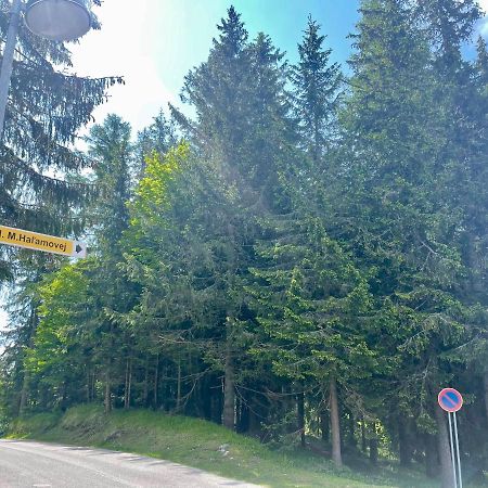 Tatry Ela Big Apartment Štrbské Pleso Eksteriør billede