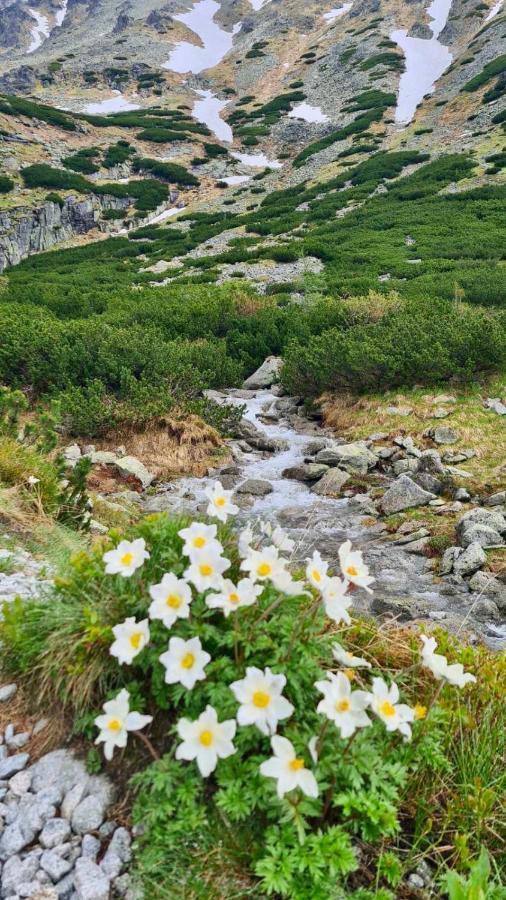 Tatry Ela Big Apartment Štrbské Pleso Eksteriør billede